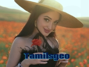 Tamilsgeo