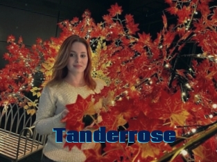 Tanderrose