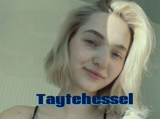 Taytehessel