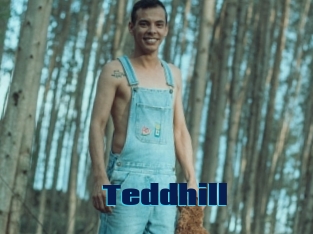 Teddhill