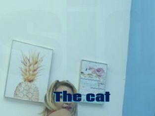 The_cat