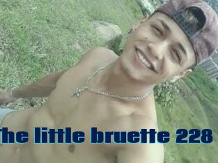 The_little_bruette_228