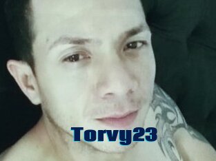 Torvy23