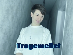 Troyemellet