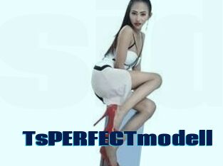 TsPERFECTmodell