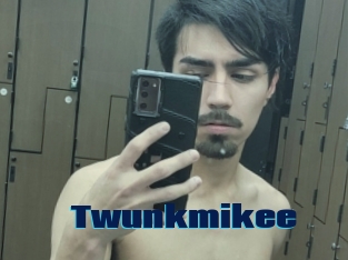 Twunkmikee