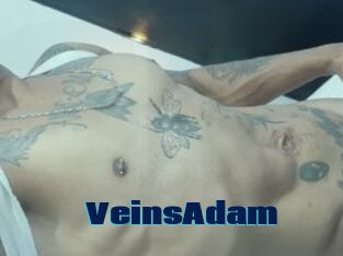 VeinsAdam Site de cul gratuit