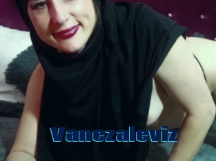 Vanezaleviz