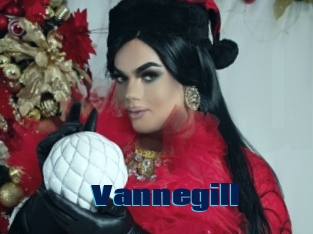 Vannegill