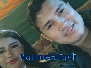 Vannesajavi