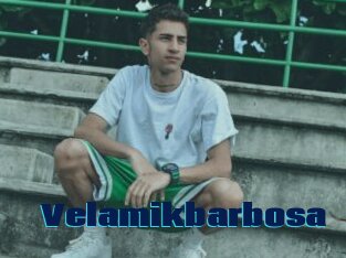 Velamikbarbosa