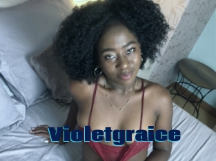 Violetgraice