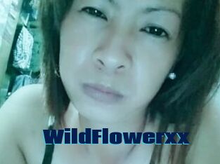 WildFlowerxx