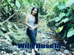 Wild_Rose18