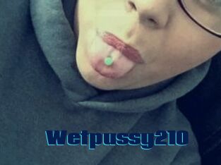 Wetpussy210