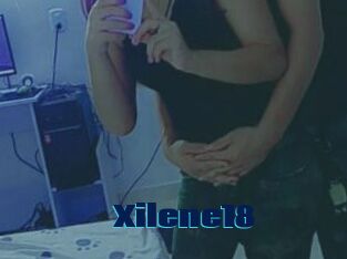 Xilene18