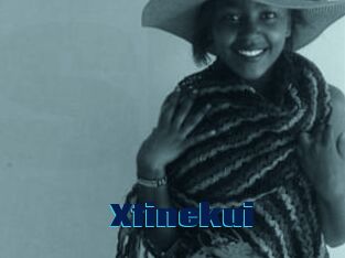 Xtinekui