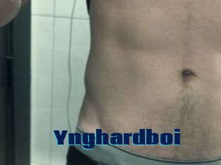 Ynghardboi