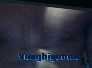 Yungbigcock