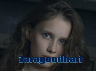 Zaragoodhart