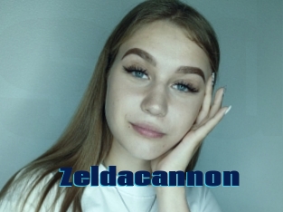 Zeldacannon